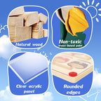 Wooden Magnetic Color & Number Maze Board